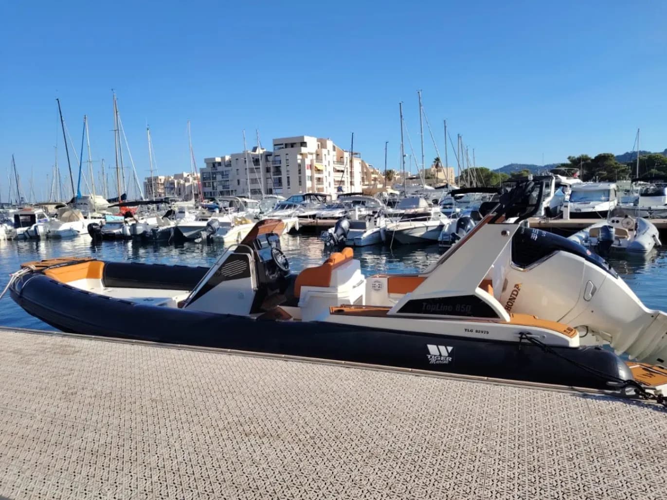 Tiger Marine 850 Top Line