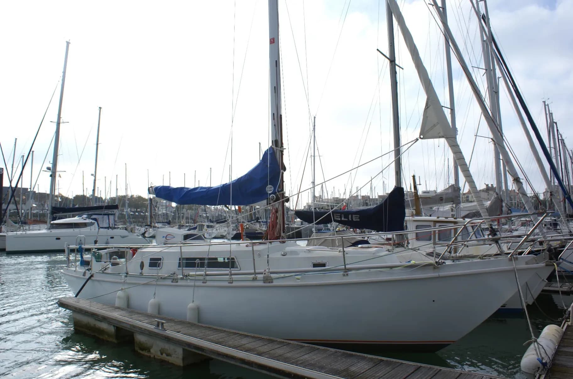 AMEL KIRK AMEL - Photo 1