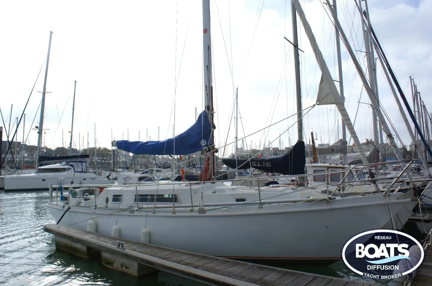 AMEL KIRK AMEL - Photo 1