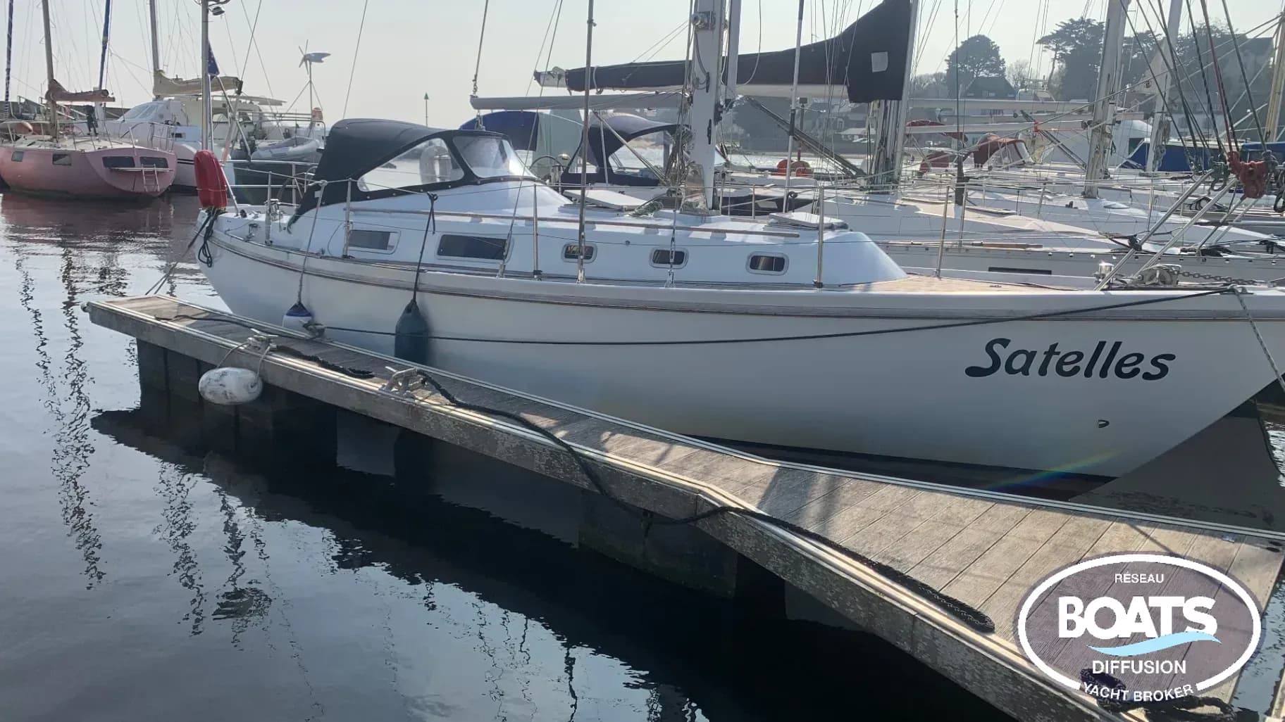 Conyplex  Contest 33 - Photo 1