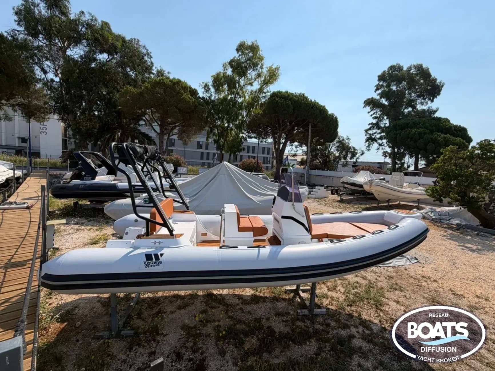 Tiger Marine 550 PL - Photo 1